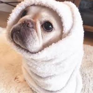 Meet your Posher, Ashlee